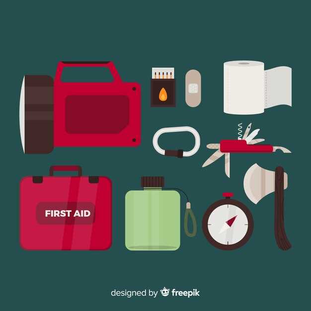 Qué llevar en un kit de emergencia para el coche
